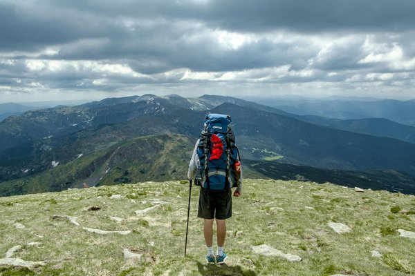Welche Ausrüstung benötigt man für das Wandern mit Hunden?
