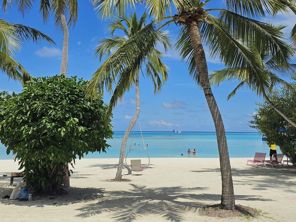 Welke activiteiten zijn geschikt voor een gezinsvakantie?