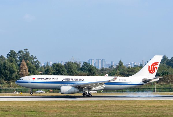 Was sollte man über die Sozialisierung von Welpen wissen?